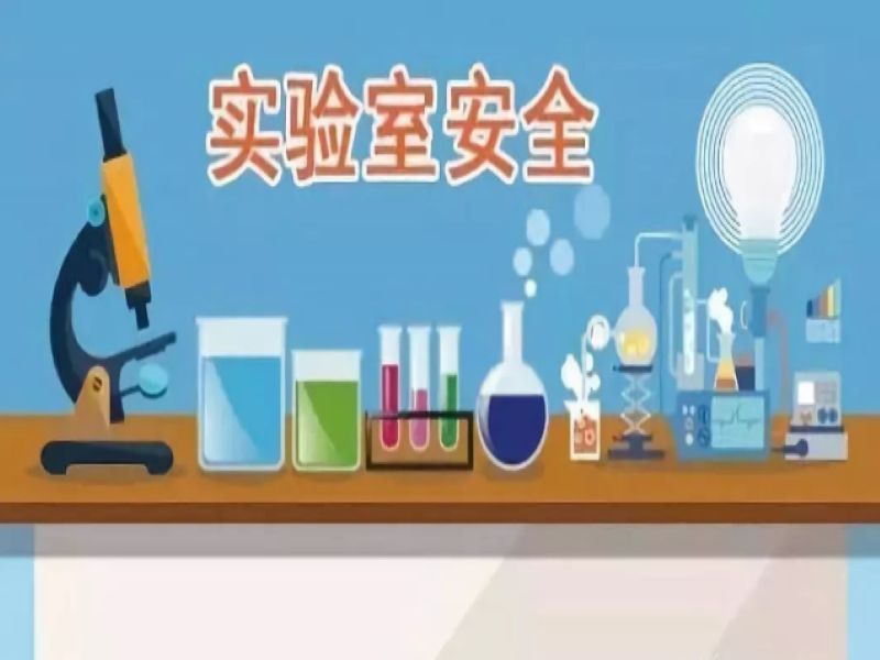 91免费版黄色下载安全